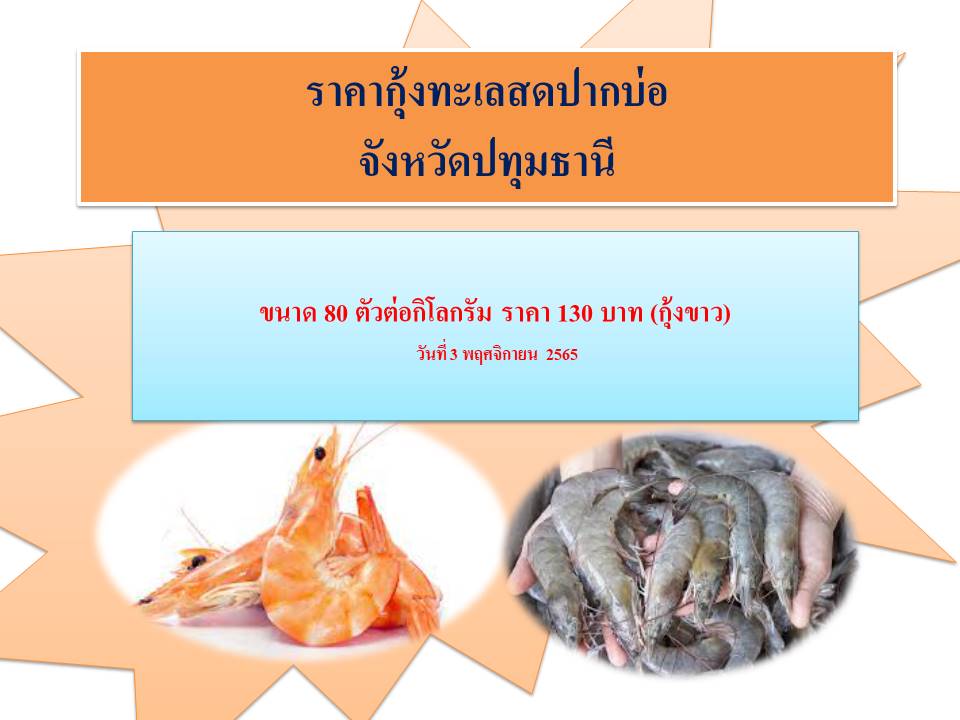 ราคากุ้ง ณ วันที่ 3 พฤศจิกายน 2565..คลิก