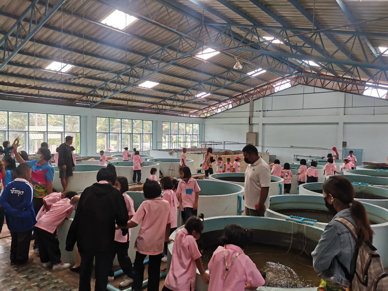 ต้อนรับนักเรียนโรงเรียนวัดพังกิ่ง เข้าเยี่ยมชมการเพาะพันธุ์สัตว์น้ำ