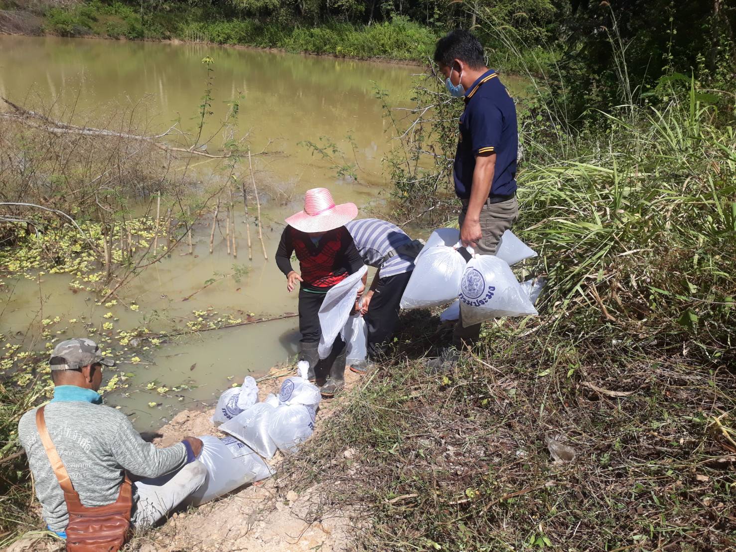 ปล่อยพันธุ์สัตว์น้ำเพิ่มผลผลิตในแหล่งน้ำชุมชน..คลิก