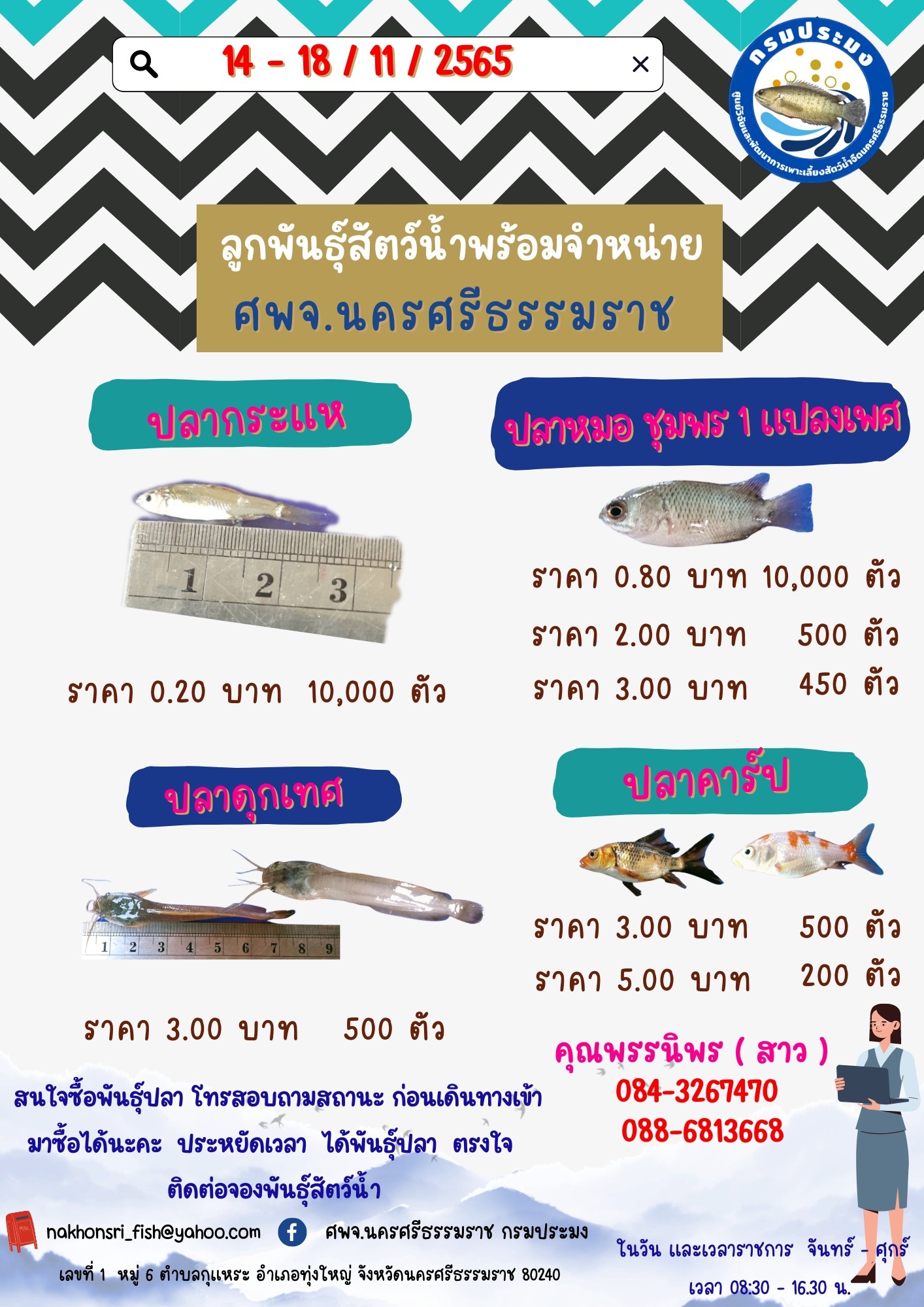 ลูกพันธุ์วัตว์น้ำพร้อมจำหน่าย..คลิก