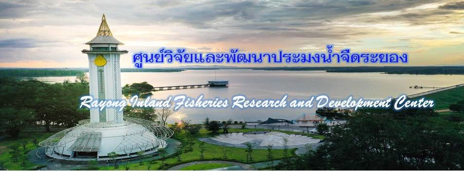 แบรนเนอร์..คลิก