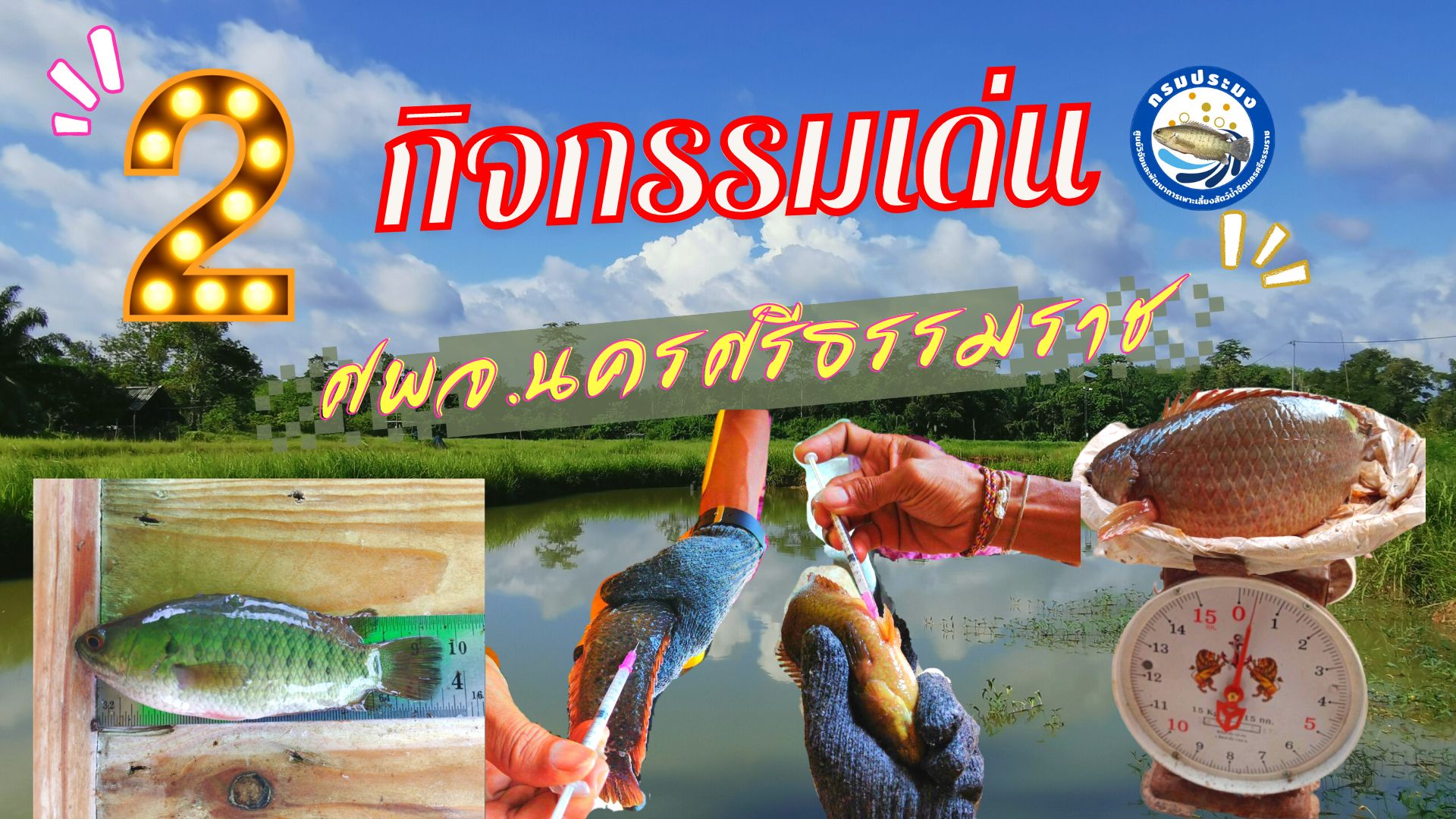 กิจกรรมเด่นของ ศูนย์วิจัยและพัฒนาการเพาะเลี้ยงสัตว์น้ำจืดนครศรีธรรมราช 2