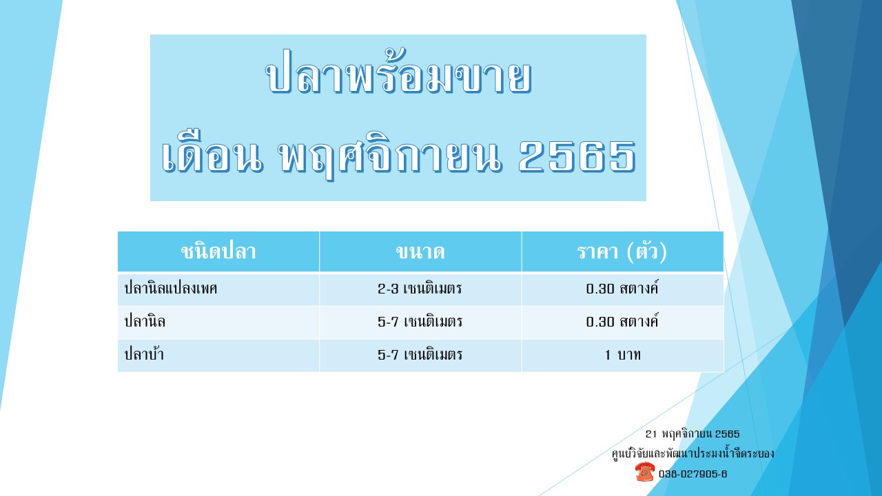 ปลาพร้อมขาย วันที่ 21 พฤศจิกายน 2565..คลิก