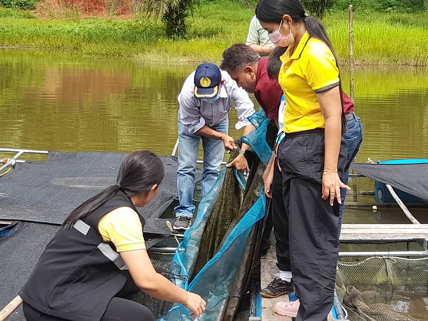 วันที่ 16 พฤศจิกายน 2565 สำนักงานประมงจังหวัดพังงา โดย นายนิพนธ์ เสนอินทร์ หัวหน้ากลุ่มพัฒนาและส่งเสริมอาชีพการประมง พร้อมเจ้าหน้าที่ และประมงอำเภอกะปง ลงพื้นที่โรงเรียนเยาววิทย์ อำเภอกะปง จังหวัดพังงา เพื่อติดตามผลการดำเนินงานกิจกรรมการเลี้ยงปลาดุกในกระชังและการเลี้ยงปลานิลในบ่อดิน ทำการชั่งวัดขนาดปลา พบว่า ปลามีการเจริญเติบโตดี ทั้งนี้ ได้แนะนำวิธีการปรับอาหารในแต่ละมื้อให้สัมพันธ์กับขนาดปลา ทำการย้ายปลาดุกจากกระชังอนุบาลใส่ในกระชังเลี้ยง พร้อมทั้งร่วมกับผู้อำนวยการโรงเรียนและครูผู้รับผิดชอบวางแผนการดำเนินงานโครงการส่งเสริมการดำเนินงานอันเนื่องมาจากพระราชดำริฯ (ประมงโรงเรียน) ประจำปีงบประมาณ พ.ศ. 2566 โดยในปีนี้ทางโรงเรียนมีเป้าหมายดำเนินการเพื่อเสริมสร้างประสบการณ์จากการลงมือปฏิบัติจริงให้กับนักเรียนและครูผู้รับผิดชอบ เพื่อนำผลผลิตมาปรุงเป็นอาหารกลางวันสำหรับนักเรียนและคัดแยกนำไปแปรรูปเพื่อเพิ่มมูลค่า สร้างเอกลักษณ์ให้กับสินค้าของโรงเรียน และยังวางแผนสร้างจุดเรียนรู้นอกห้องเรียนทั้งด้านเกษตร ปศุสัตว์ และประมง..คลิก