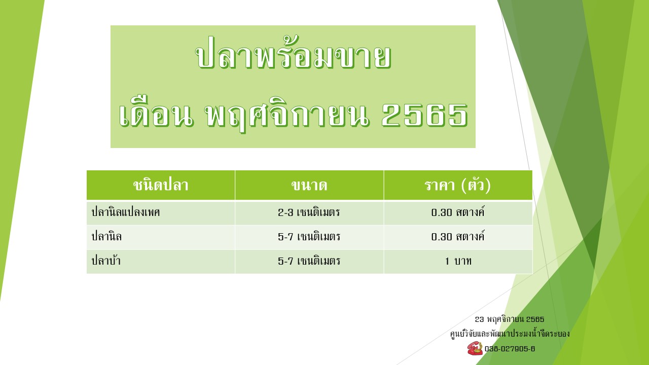 ปลาพร้อมขาย วันที่ 23 พฤศจิกายน 2565..คลิก