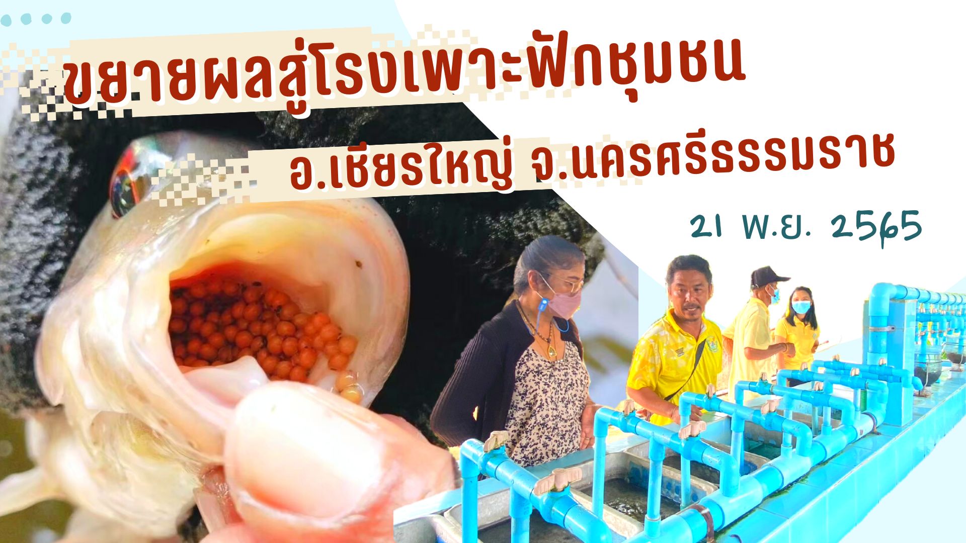 ประชาสัมพันธ์