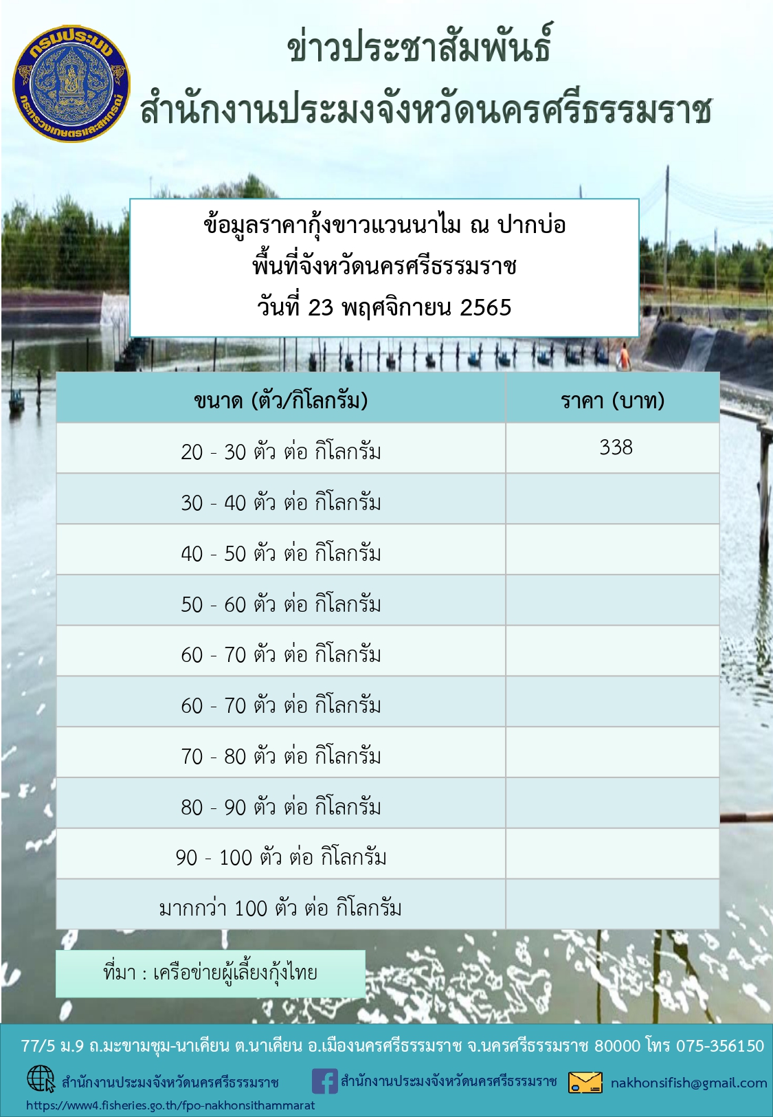 ราคากุ้งขาวแวนนาไม ณ ปากบ่อ พื้นที่จังหวัดนครศรีธรรมราช วันที่ 23 พฤศจิกายน 2565