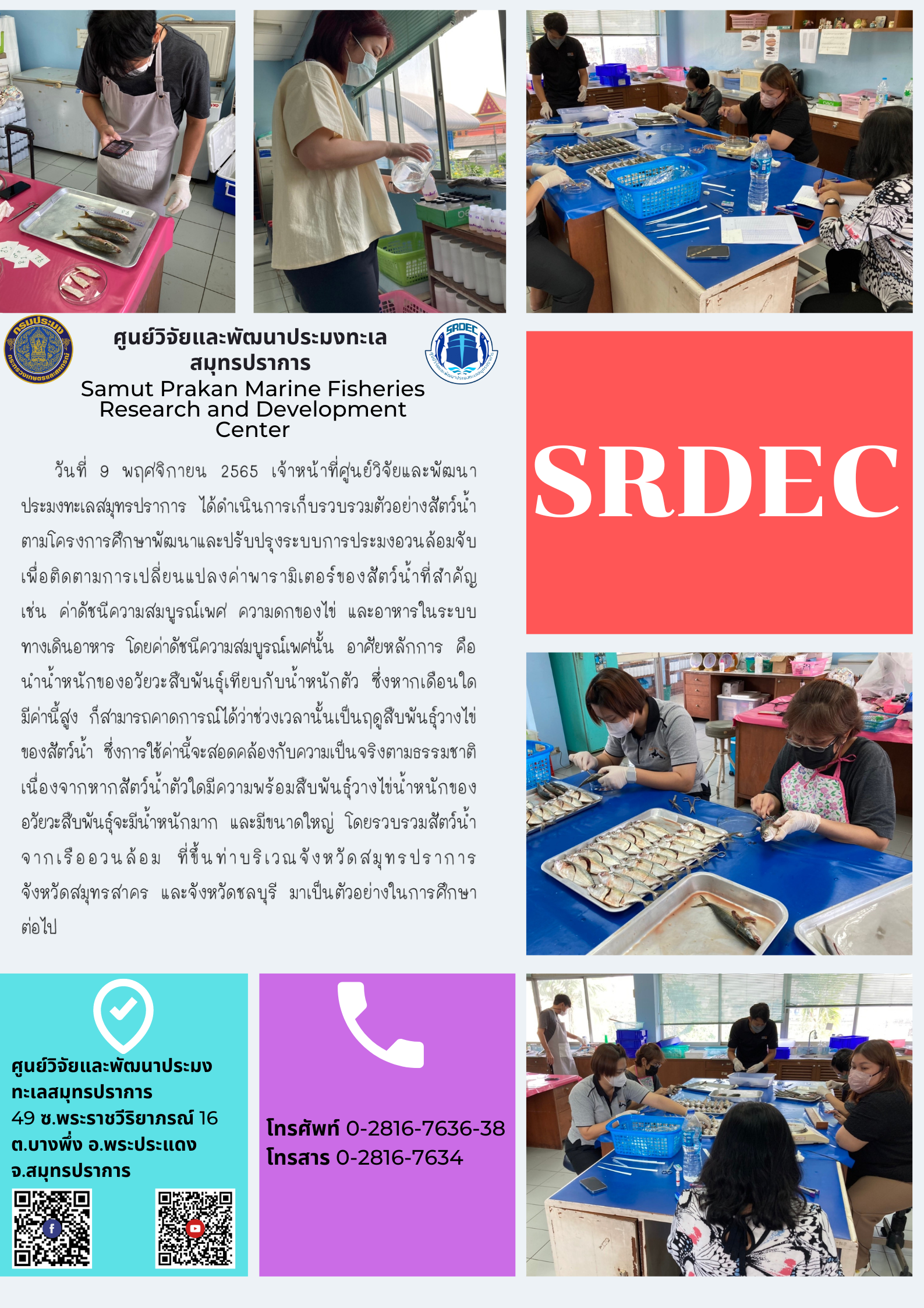 เจ้าหน้าที่ศูนย์วิจัยและพัฒนาประมงทะเลสมุทรปราการได้ดำเนินการเก็บรวบรวมตัวอย่างสัตว์น้ำตามโครงการศึกษาพัฒนาและปรับปรุงระบบการประมงอวนล้อมจับ..คลิก