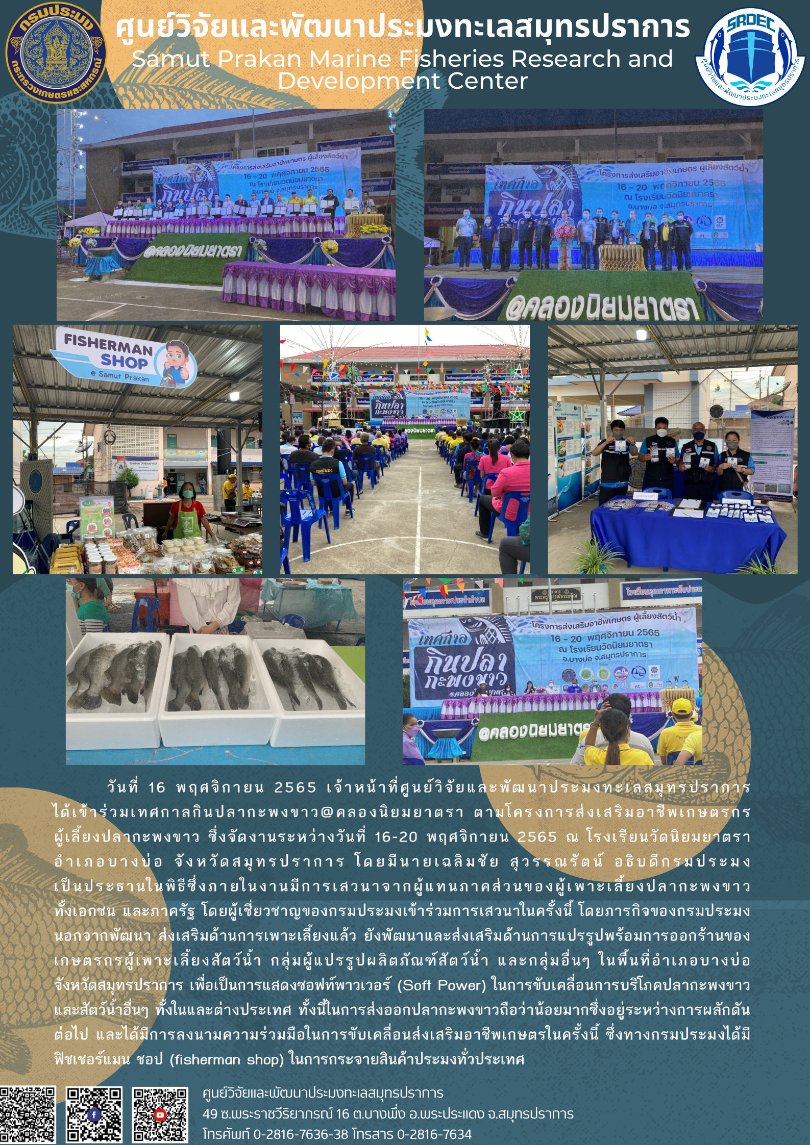เจ้าหน้าที่ศูนย์วิจัยและพัฒนาประมงทะเลสมุทรปราการ ได้เข้าร่วมเทศกาลกินปลากะพงขาว..คลิก