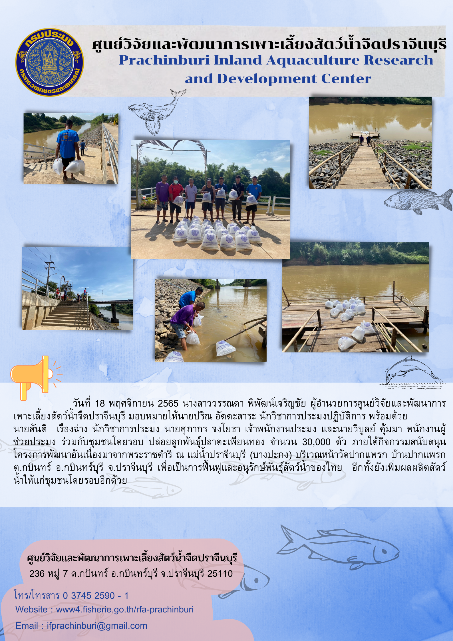 ปล่อยพันสัตว์น้ำฟื้นฟูและอนุรักษ์พันธุ์สัตว์น้ำของไทย วันที่ 18 พ.ย. 2565..คลิก