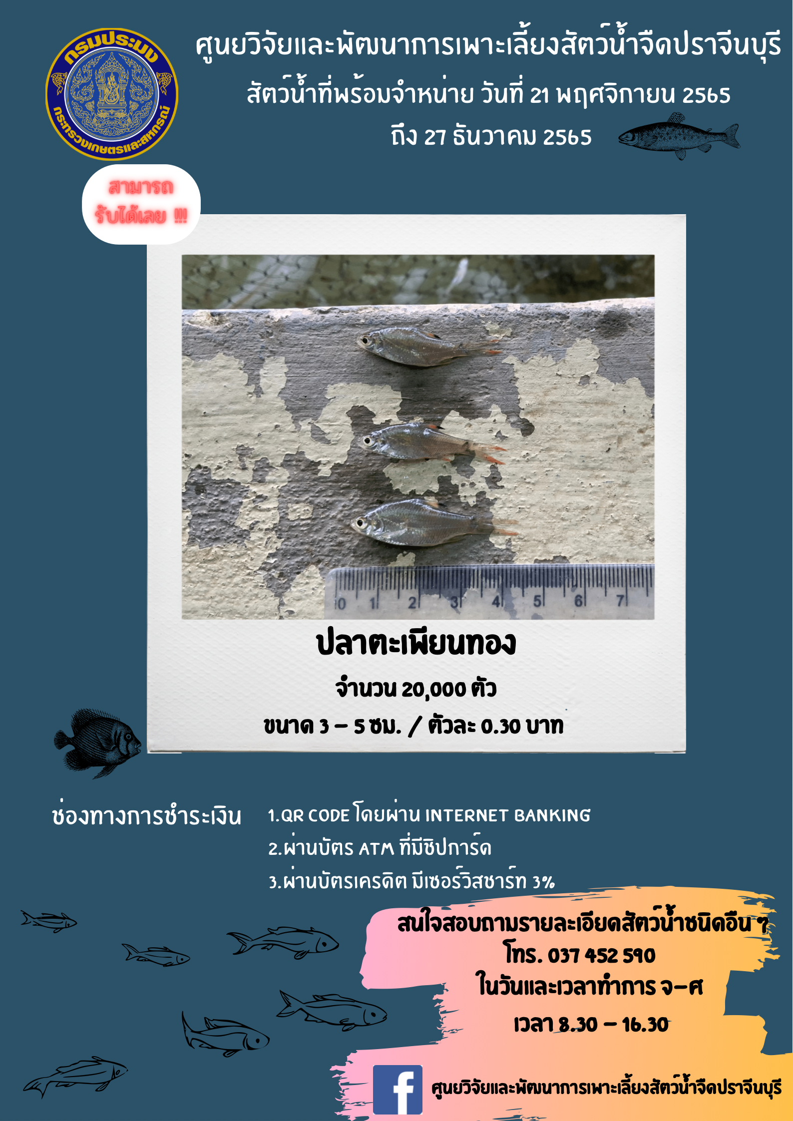 สัตว์น้ำพร้อมจำหน่าย วันที่ 21 พ.ย. 2565 ถึงวันที่ 27 ธันวาคม 2565