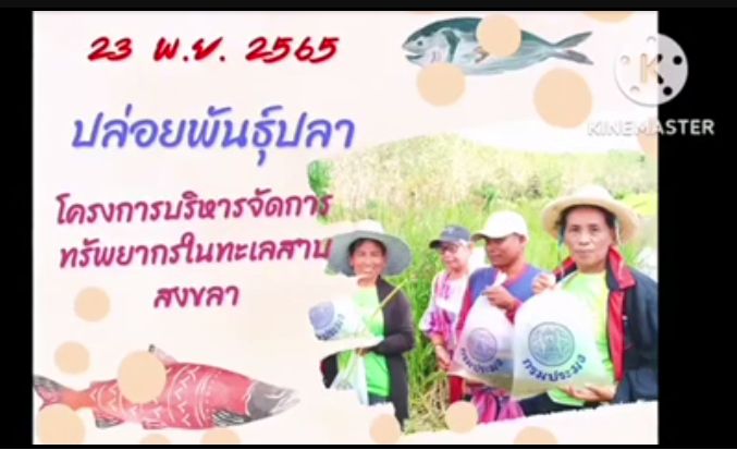 ข่าวประชาสัมพันธ์