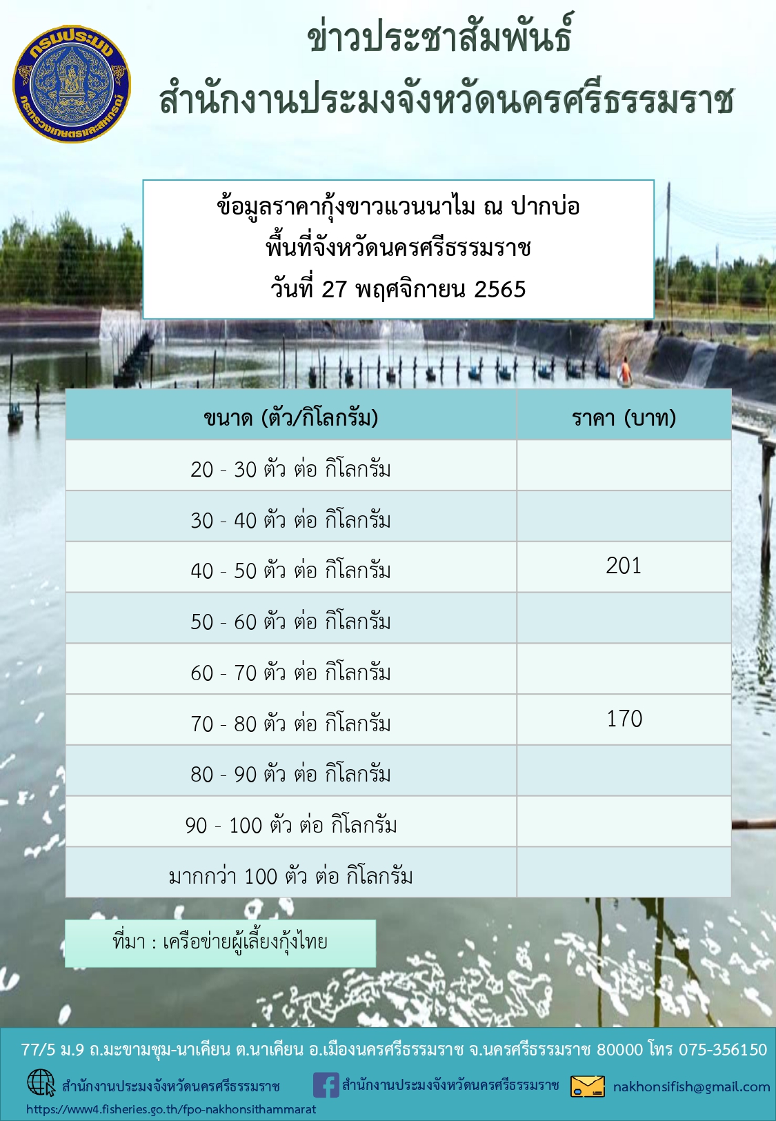 ราคากุ้งขาวแวนนาไม ณ ปากบ่อ พื้นที่จังหวัดนครศรีธรรมราช วันที่ 27 พฤศจิกายน 2565