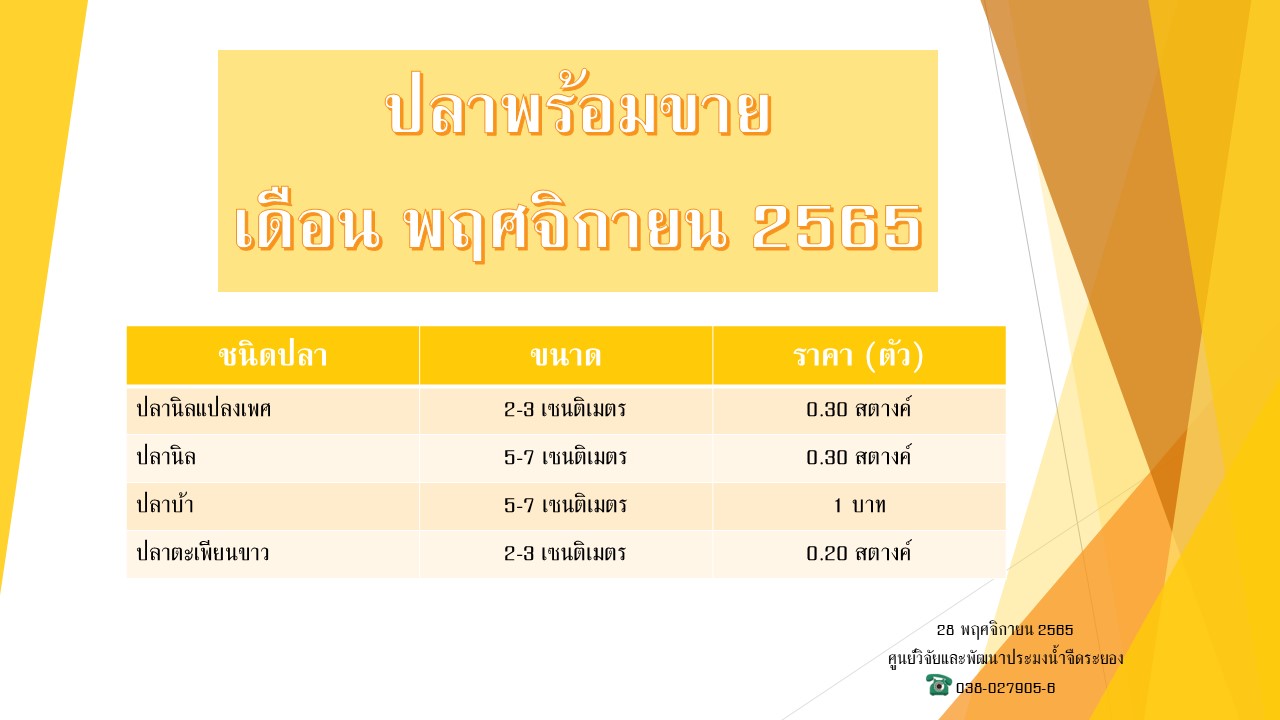 ปลาพร้อมขาย วันที่ 28 พฤศจิกายน 2565..คลิก