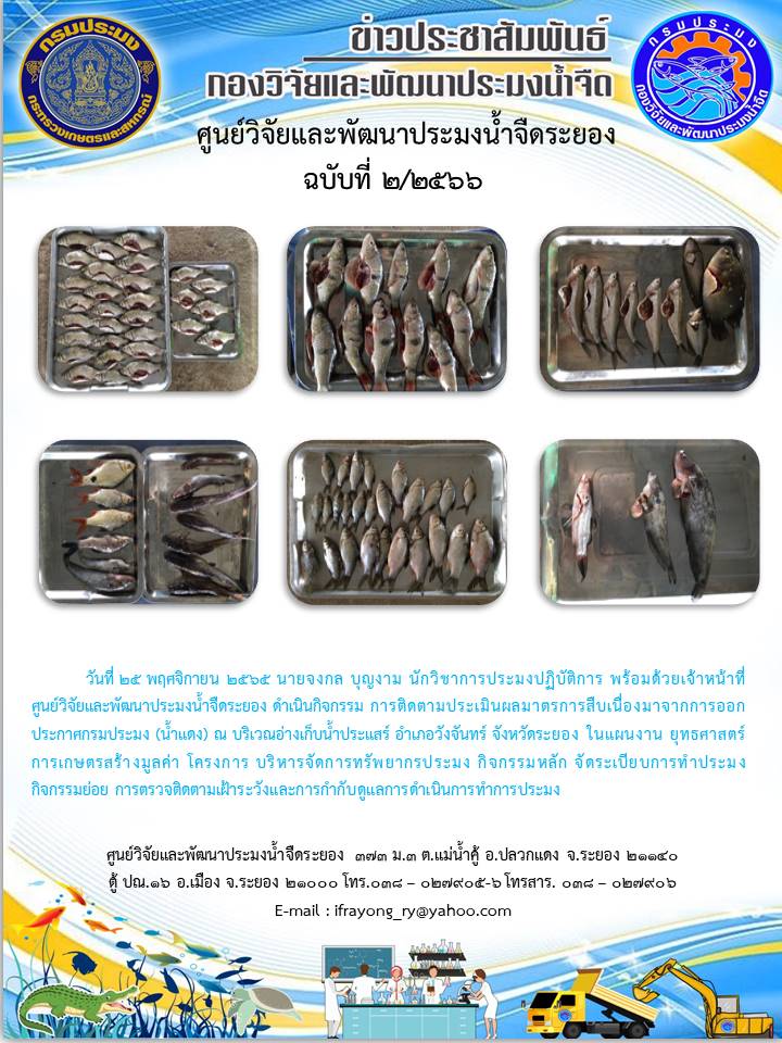 ข่าวประชาสัมพันธ์กิจกรรม ฉบับที่ 2/2565..คลิก
