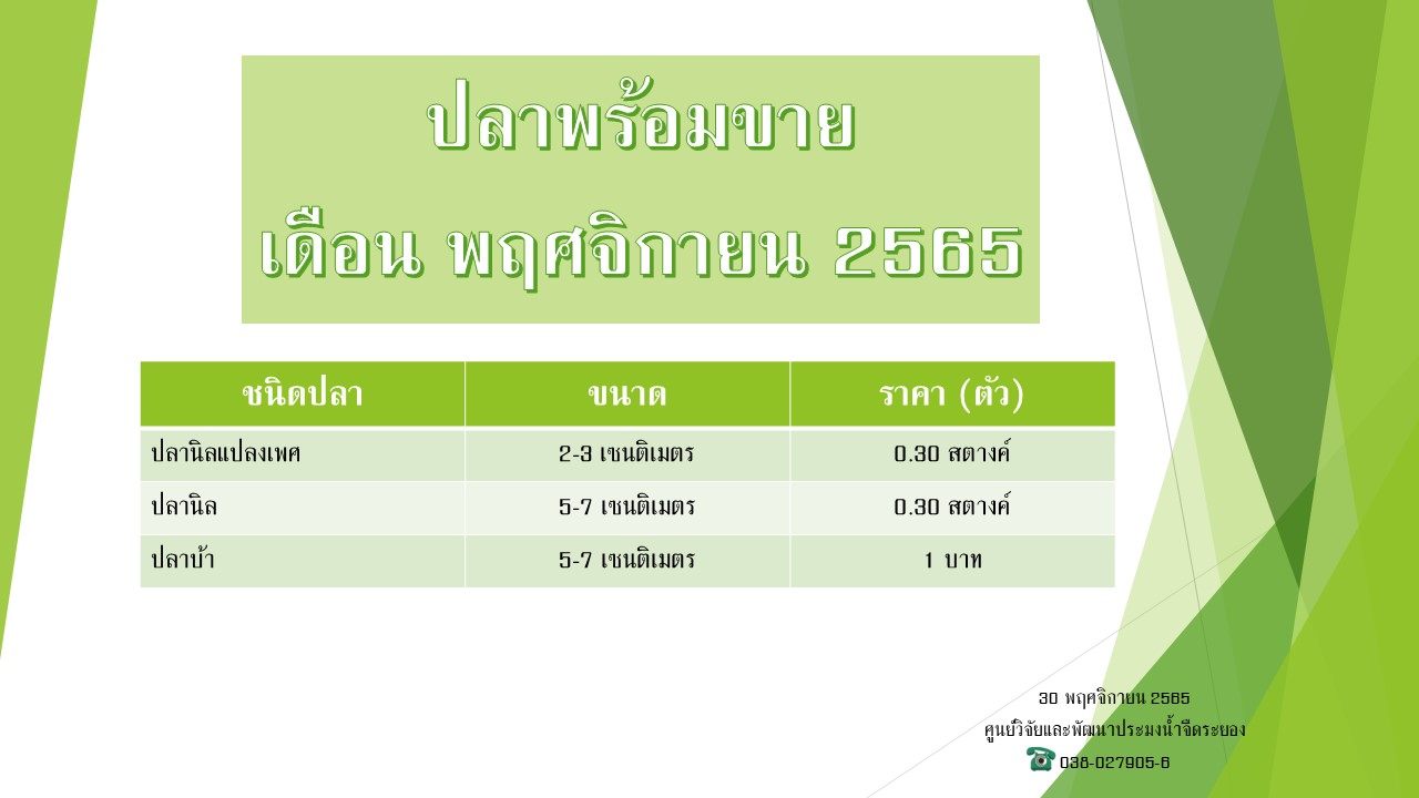 ปลาพร้อมขาย วันที่ 30 พฤศจิกายน 2565..คลิก