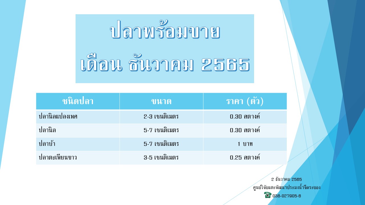 ปลาพร้อมขาย วันที่ 2 ธันวาคม 2565..คลิก