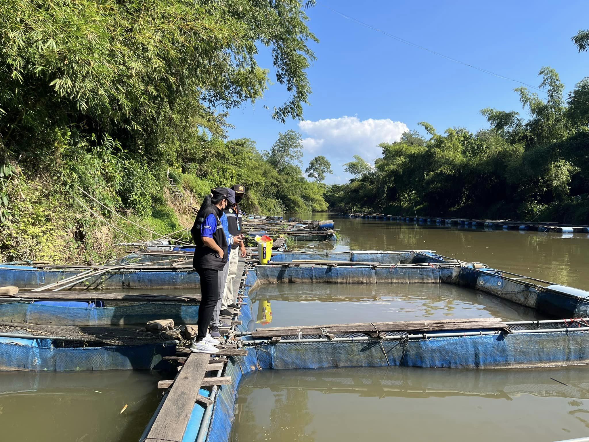 เข้าตรวจสอบพิกัดทางภูมิศาสตร์ เกษตรกรผู้เพาะเลี้ยงสัตว์น้ำในที่สาธารณะสมบัติของแผ่นดิน ในพื้นที่ตำบลสาริกา..คลิก