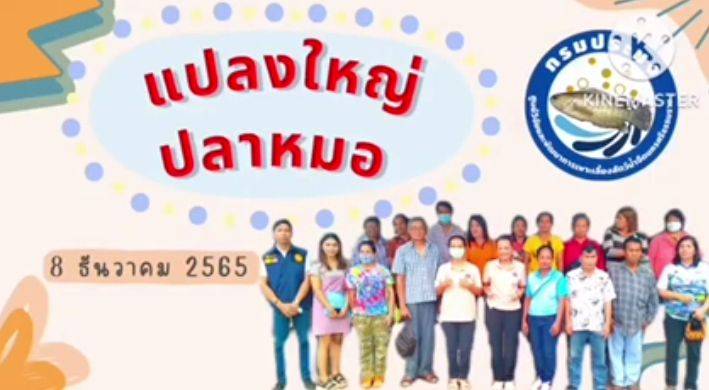 ประชาสัมพันธ์