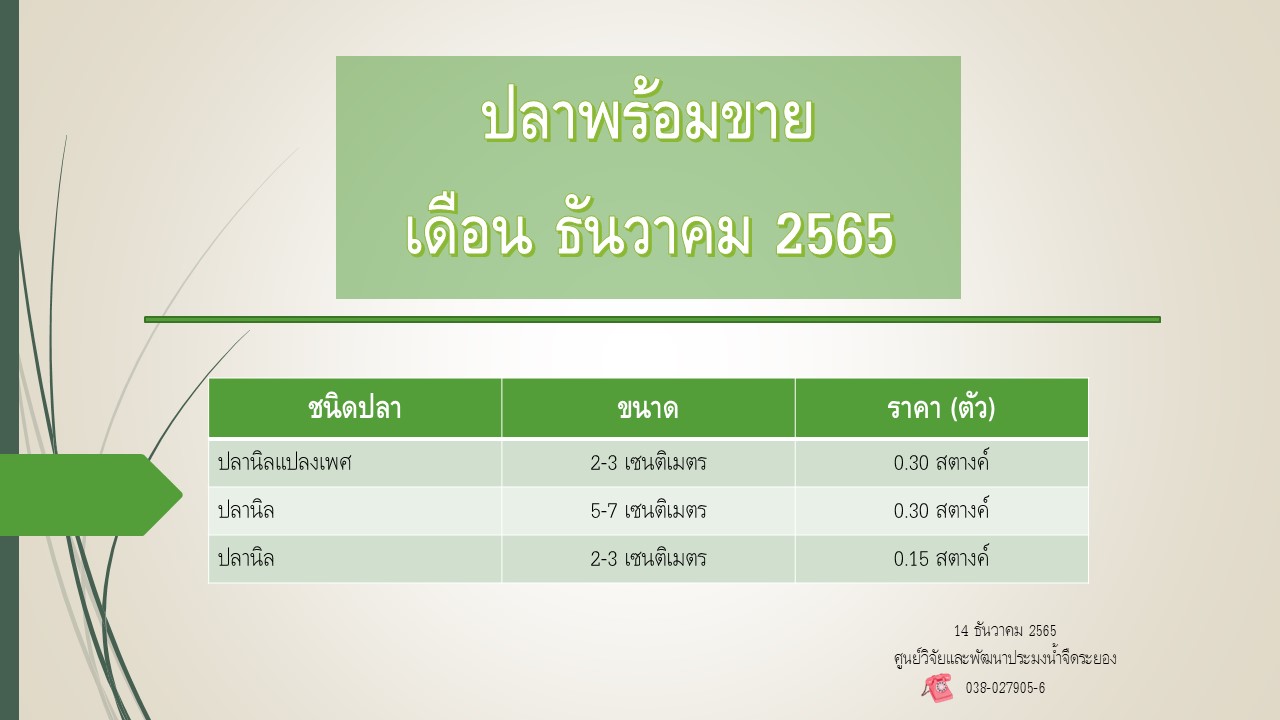 ปลาพร้อมขาย วันที่ 14 ธันวาคม 2565..คลิก