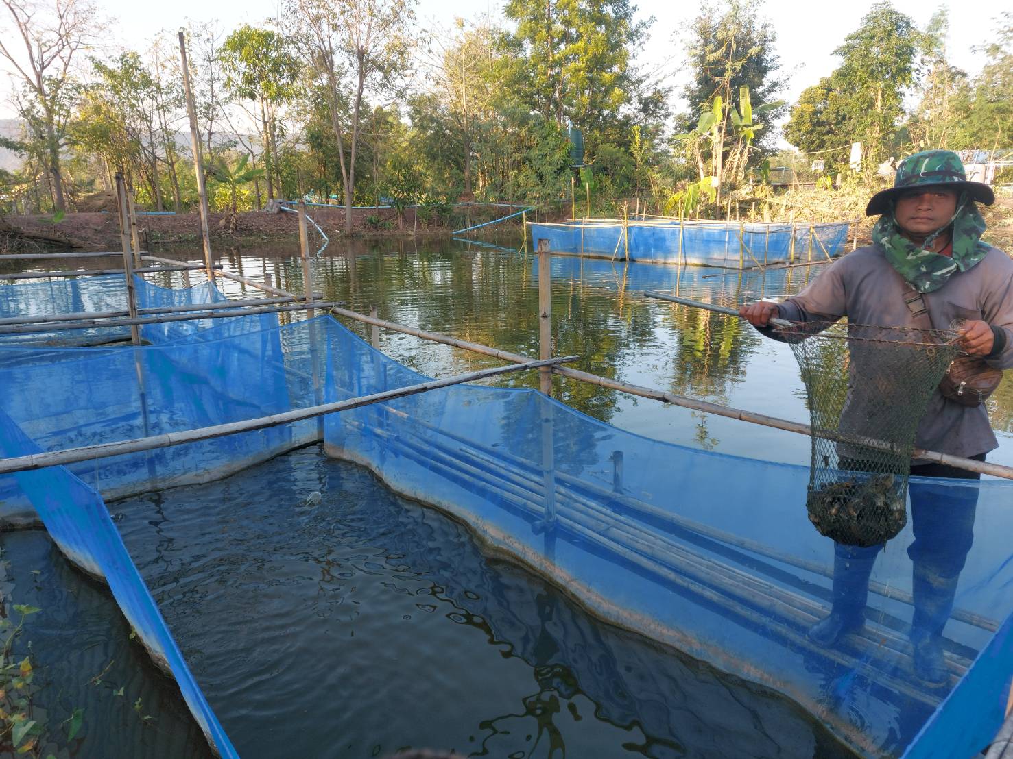 วันที่ 15 ธันวาคม 2565 นายวิทยา ประเสริฐสังข์ ได้รับแจ้งจากเกษตรกรและได้ออกปฎิบัตงานให้คำแนะนำปรึกษาวิธีป้องกันและรักษาโรคสัตว์น้ำในช่วงฤดูหนาวแก่เกษตรกร..คลิก