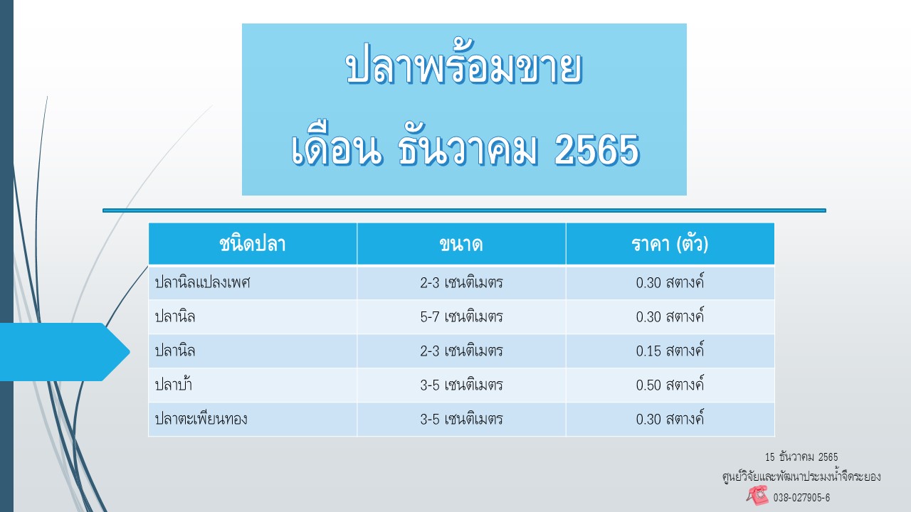 ปลาพร้อมขาย วันที่ 16 ธันวาคม 2565..คลิก