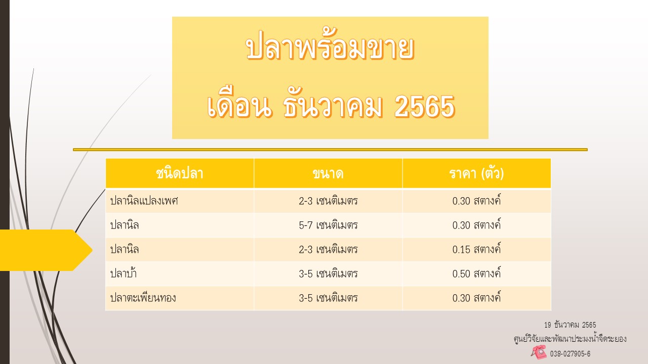 ปลาพร้อมขาย วันที่ 19 ธันวาคม 2565..คลิก