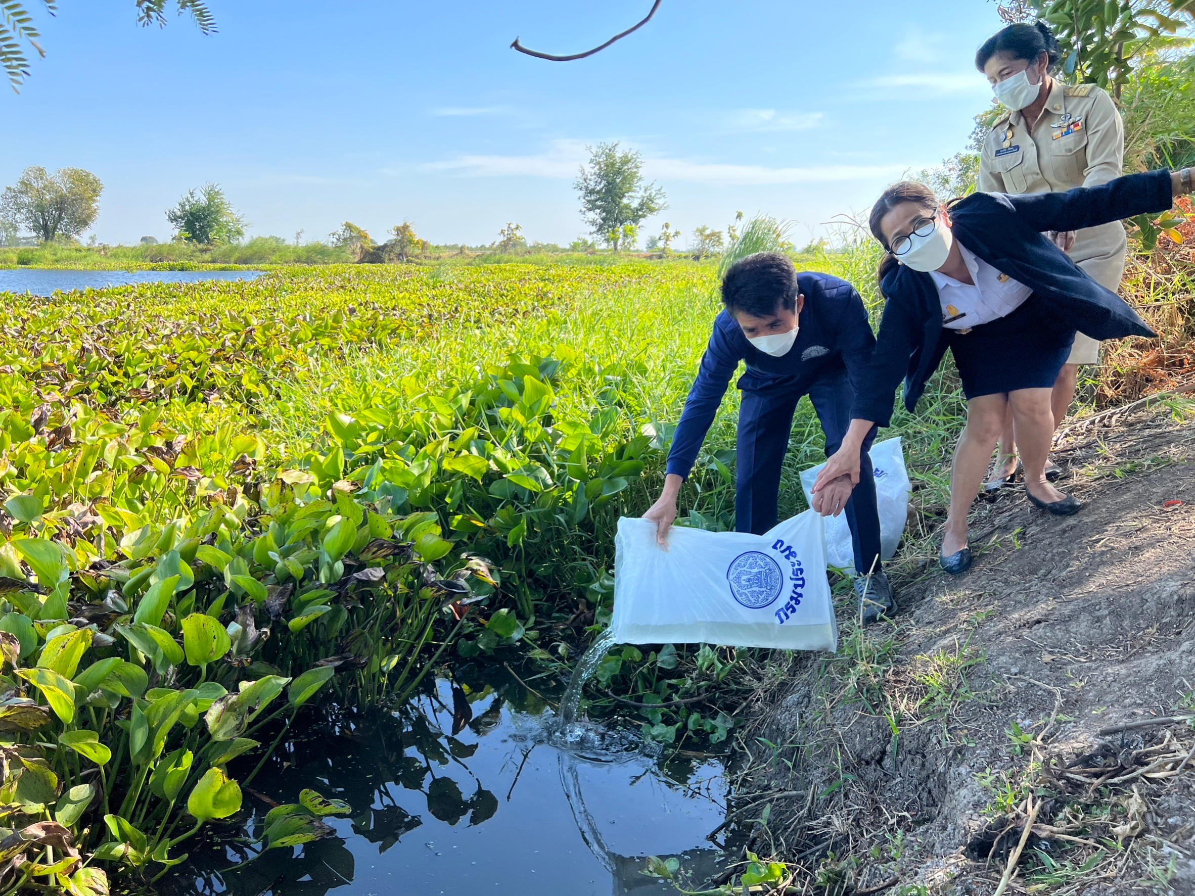 ปล่อยพันธุ์ปลาชะโอน จำนวน 6,000 ตัว ณ หนองลาดใหญ่ ตำบลชัยฤทธิ์ อำเภอไชโย จังหวัดอ่างทอง เพื่อเพิ่มผลผลิตสัตว์น้ำในแหล่งน้ำชุมชนให้อุดมสมบูรณ์..คลิก
