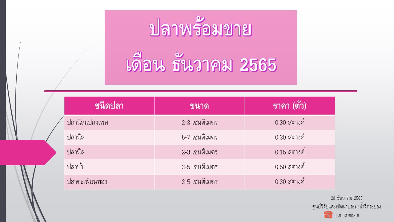 ปลาพร้อมขาย วันที่ 20 ธันวาคม 2565..คลิก