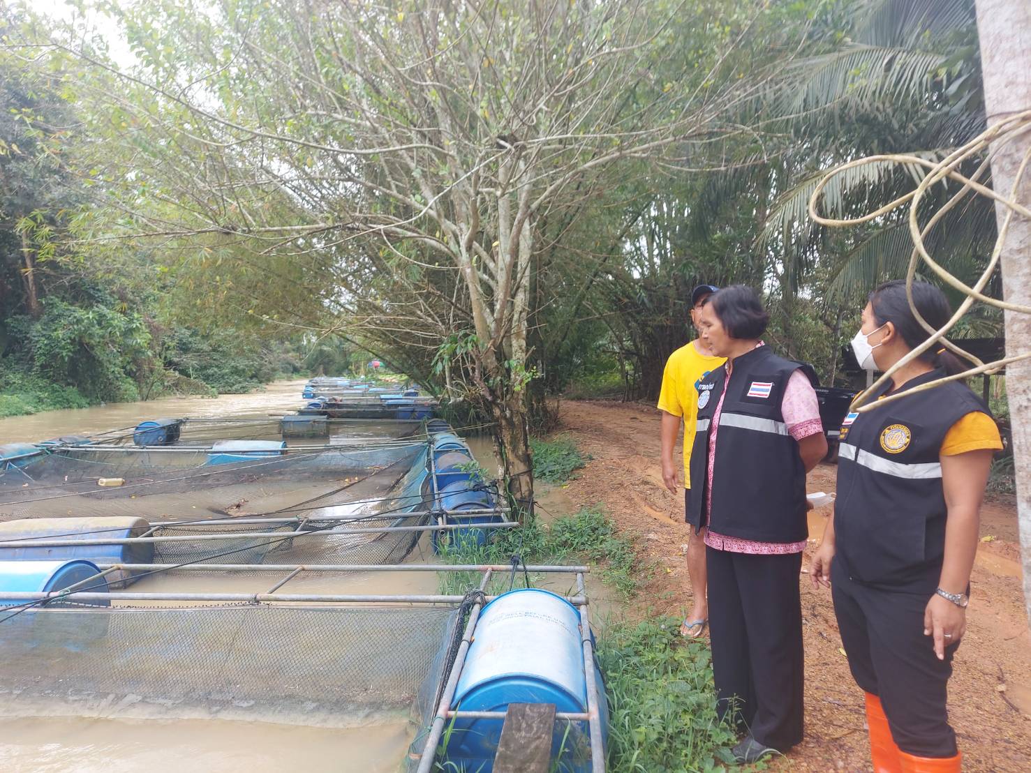 กลุ่มบริหารจัดการด้านการประมง พร้อมด้วย ประมงอำเภอบางแก้ว ตรวจติดตามสถานการณ์ภัยพิบัติกรณีฉุกเฉิน (อุทกภัย) ในพื้นที่อำเภอบางแก้ว พร้อมทั้งประชาสัมพันธ์พระราชกำหนดการประมง พ.ศ. 2558 และที่แก้ไขเพิ่มเติมห้ามเพาะเลี้ยง ห้ามจำหน่าย ห้ามปล่อย ตามมาตรา 64และมาตรา65..คลิก