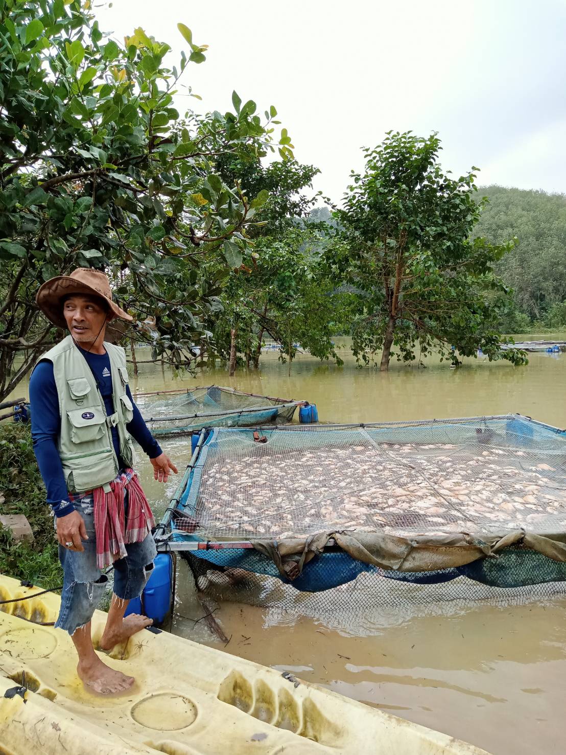 ประมงอำเภอตะโหมด ตรวจติดตามสถานการณ์ภัยพิบัติกรณีฉุกเฉิน (อุทกภัย) เกษตรกรผู้เพาะเลี้ยงสัตว์น้ำ (ปลาในกระชัง) และตรวจเยี่ยมฟาร์มสัตว์น้ำใกล้สูญพันธุ์จากเเห่งน้ำธรรมชาติ เพื่อการส่งออก..คลิก
