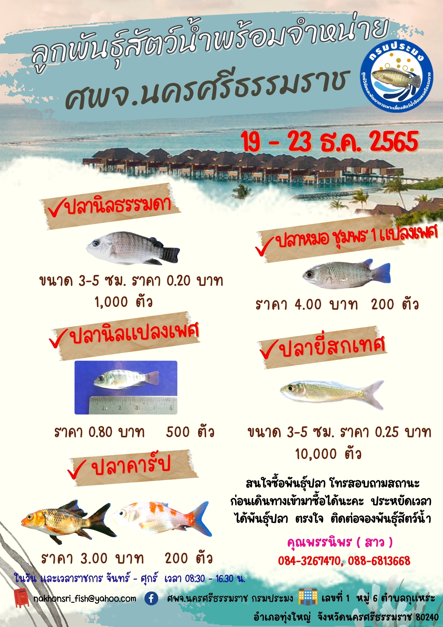 ลูกพันธุ์สัตว์น้ำพร้อมจำหน่าย..คลิก