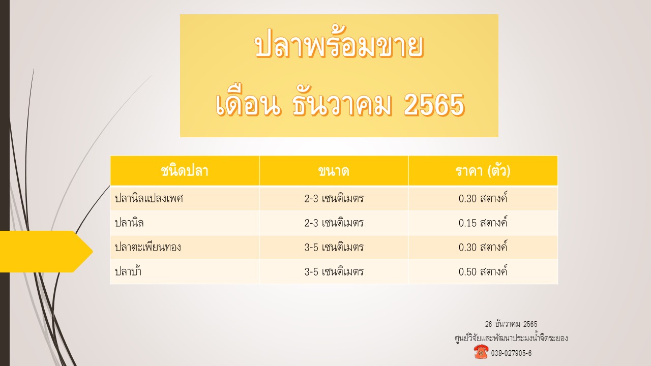ปลาพร้อมขาย วันที่ 26 ธันวาคม 2565..คลิก