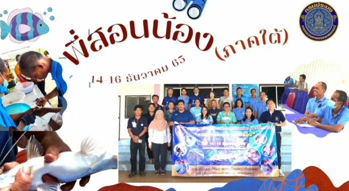 ข่าวประชาสัมพันธ์