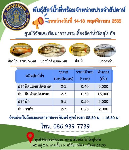 ชนิดสัตว์น้ำที่มีจำหน่าย ประจำสัปดาห์ ที่ 14-18 พฤศจิกายน 2565..คลิก