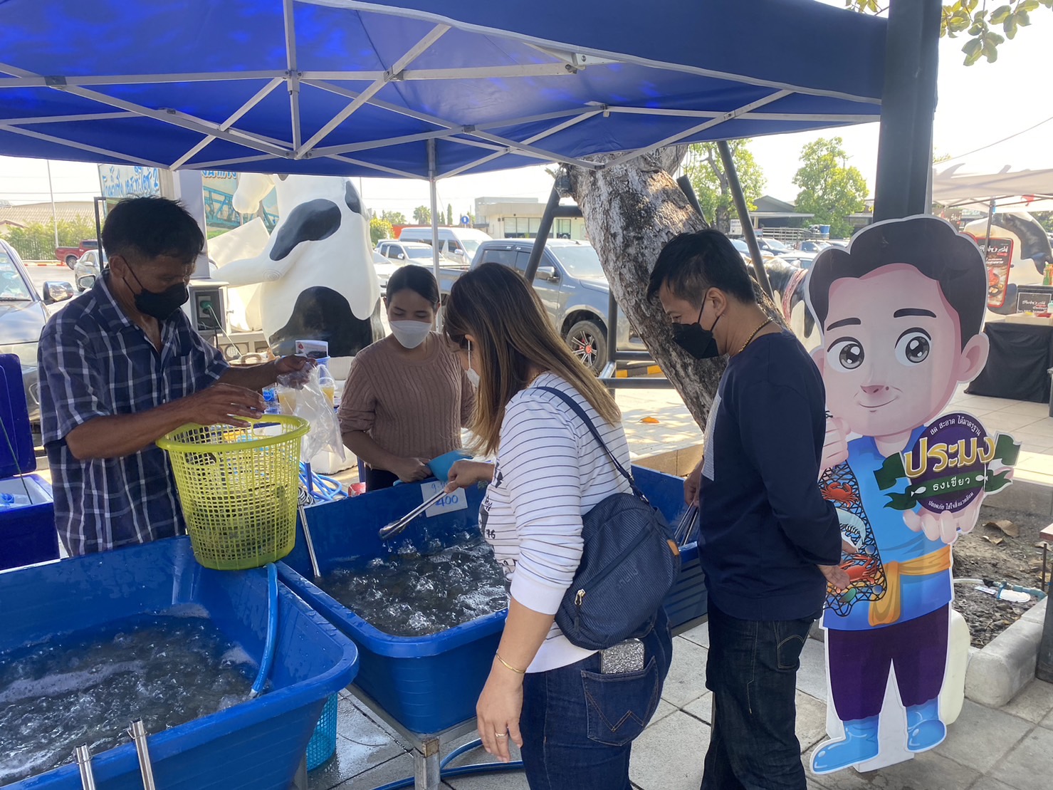 การจำหน่าย กุ้งก้ามกราม กุ้งขาวแวนนาไม จากเกษตรกรผู้เลี้ยงแปลงใหญ่สัตว์น้ำ และจากร้าน FISHERMANSHOP @ KANCHANABURI..คลิก