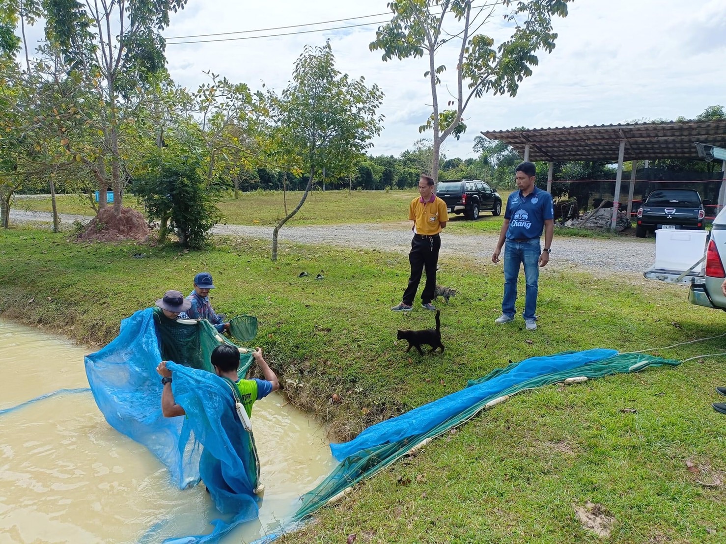 ปฏิบัติงานตามโครงการพัฒนาการผลิตสัตว์น้ำบนพื้นที่สาธารณะประโยชน์ บ้านบาโงโต๊ะอาลี..คลิก