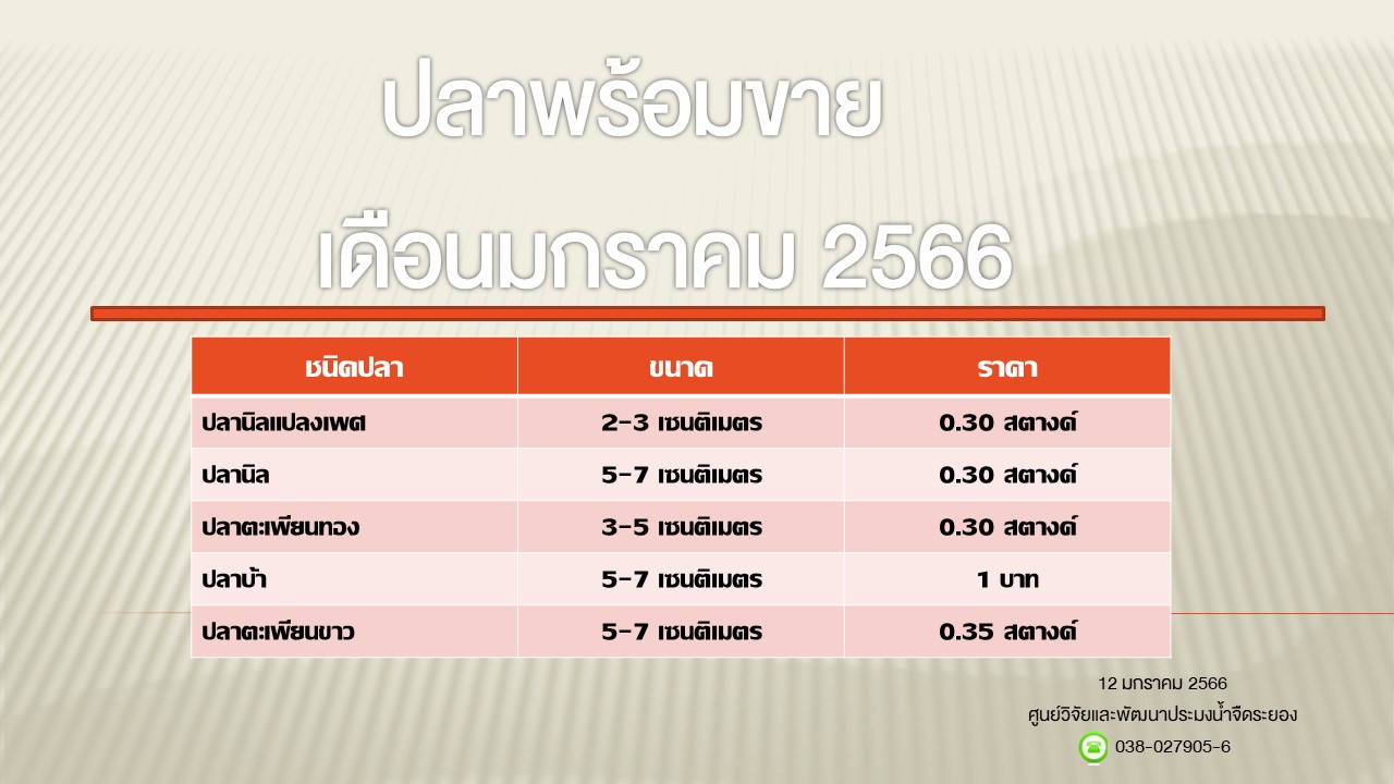 ปลาพร้อมขาย วันที่ 12 มกราคม 2566..คลิก