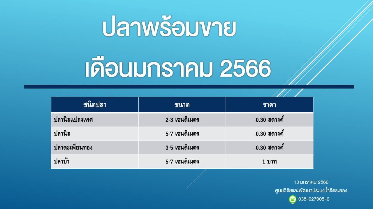 ปลาพร้อมขาย วันที่ 13 มกราคม 2566..คลิก