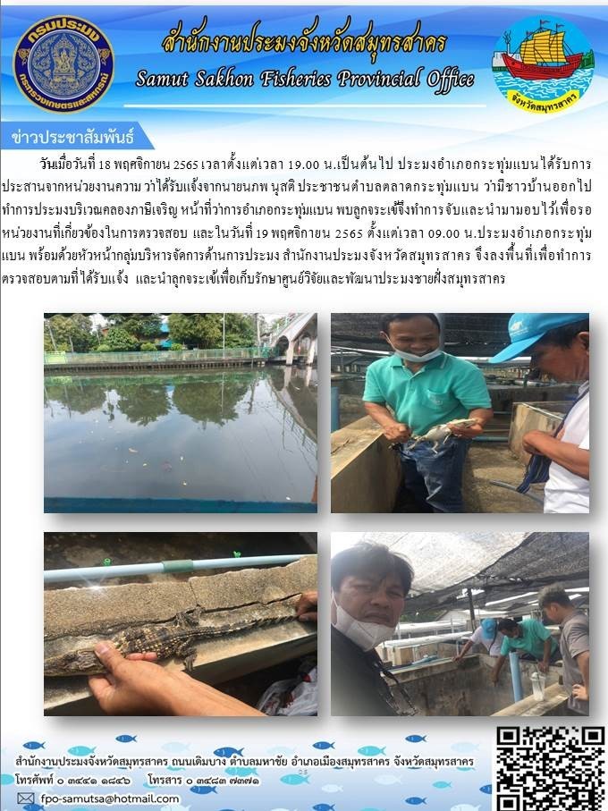 ลงพื้นที่ตรวจสอบการพบจระเข้..คลิก