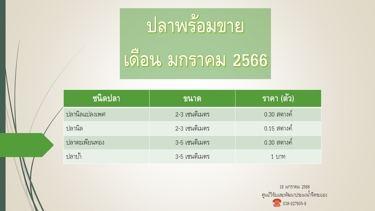 ปลาพร้อมขาย วันที่ 18 มกราคม 2566..คลิก