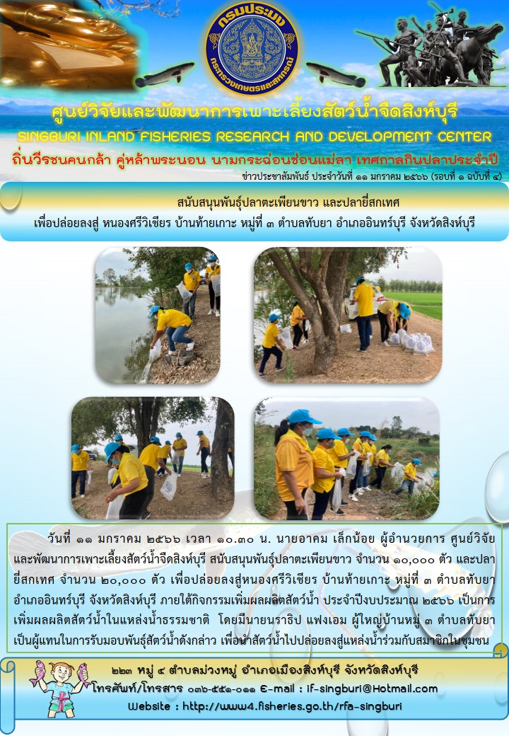 สนับสนุนพันธุ์ปลาตะเพียนขาว และปลายี่สกเทศ  เพื่อปล่อยลงสู่ หนองศรีวิเชียร บ้านท้ายเกาะ หมู่ที่ 3 ตำบลทับยา อำเภออินทร์บุรี จังหวัดสิงห์บุรี..คลิก