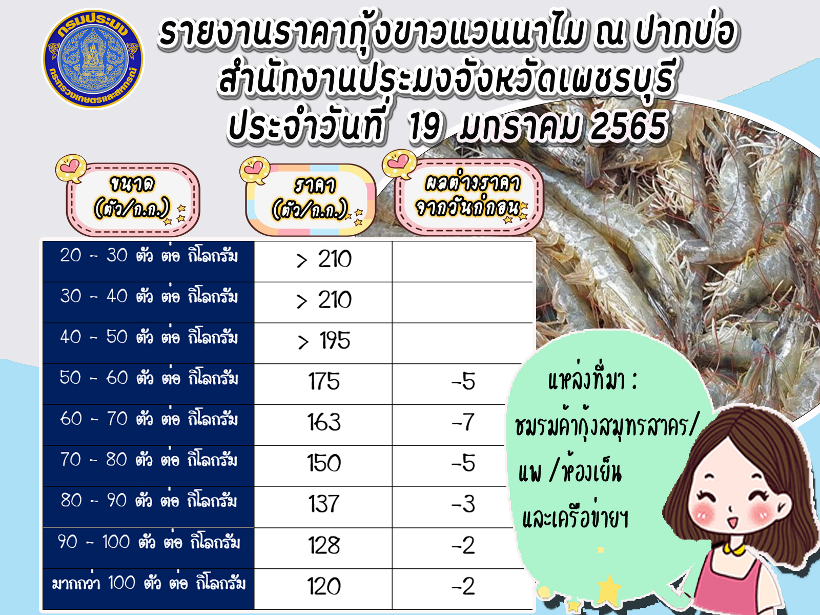 ราคากุ้งขาวแวนนาไม ประจำวันที่ 19 มกราคม 2566..คลิก