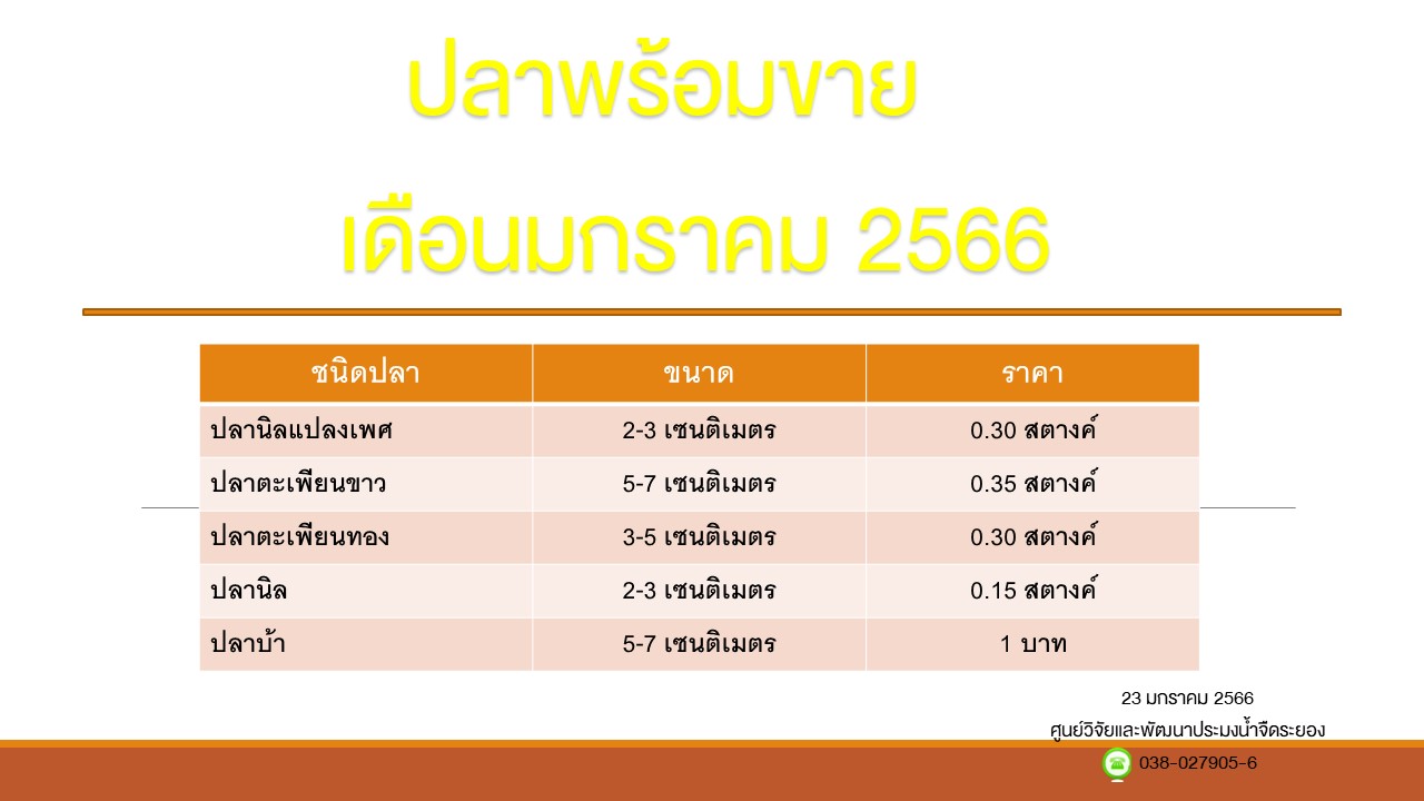 ปลาพร้อมขาย วันที่ 23 มกราคม 2566..คลิก