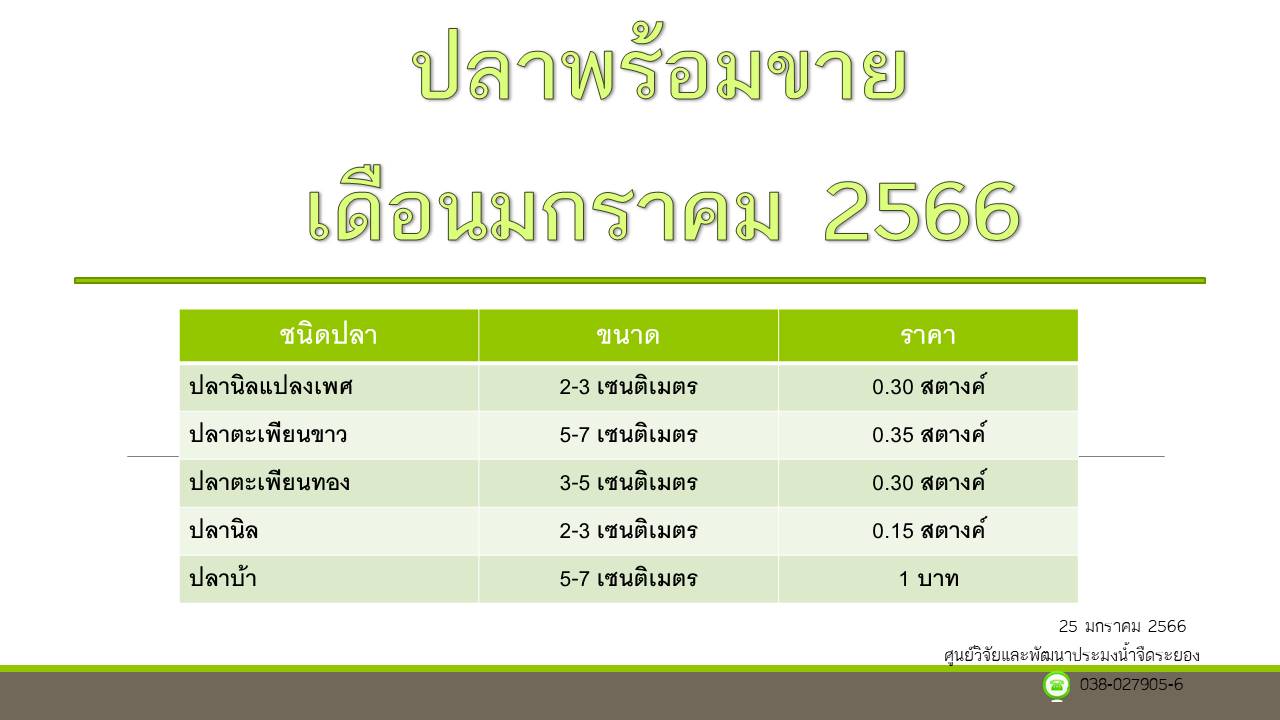 ปลาพร้อมขาย วันที่ 25 มกราคม 2566..คลิก