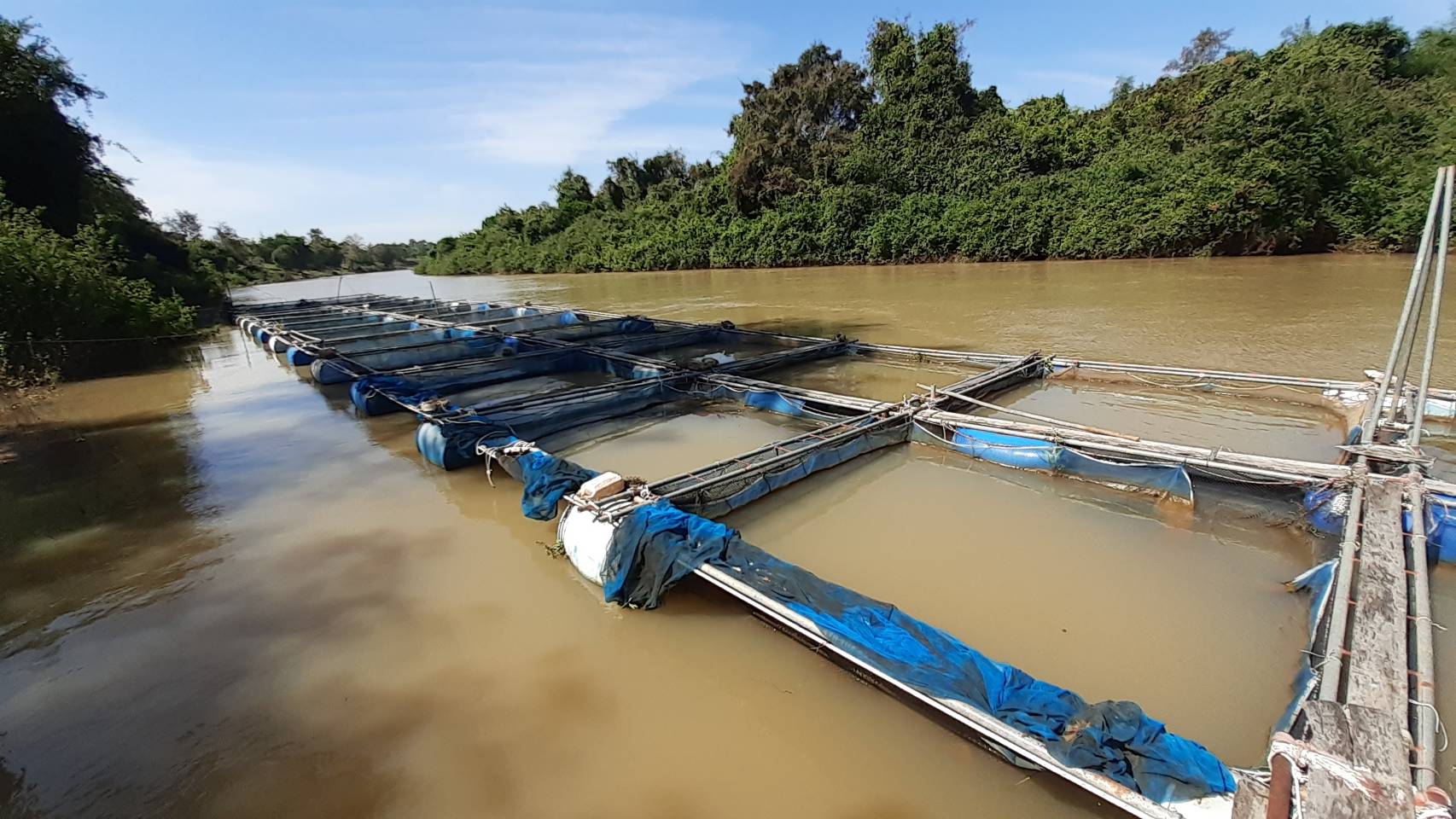 ตรวจวัดคุณภาพน้ำในการเพาะเลี้ยงสัตว์น้ำ โครงการบริหารจัดการทรัพยากรประมง