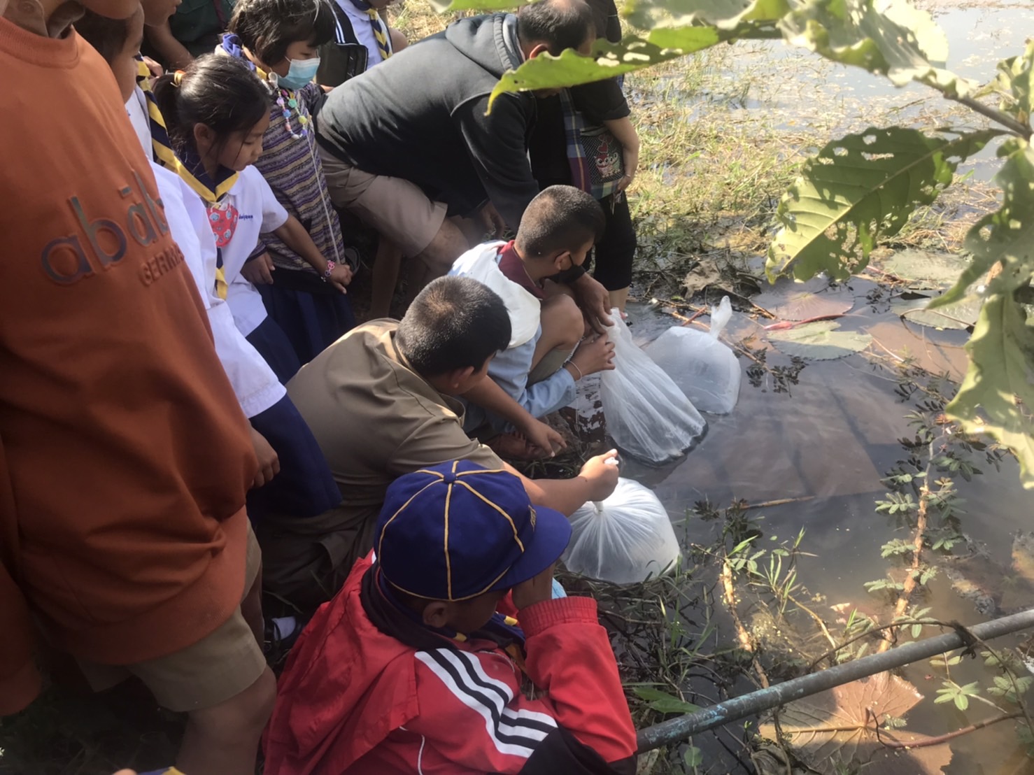 วันที่ 26 มกราคม 2565  นางสาวมลฤดี ลิ้มสุวรรณ ประมงอำเภอศรีบุญเรือง ส่งมอบพันธุ์ปลากืนพืชให้แก่โรงเรียนในเขตอำเภอศรีบุญเรือง นำไปปล่อยในบ่อเลี้ยงสัตว์น้ำของโรงเรียนเพื่อเป็นแหล่งเรียนรู้ด้านการเพาะเลี้ยงสัตว์น้ำและการเลี้ยงปลาเพื่อใช้ประกอบอาหารในโครงการอาหารกลางวันสำหรับนักเรียน จำนวน 3 โรงเรียน ดังนี้..คลิก