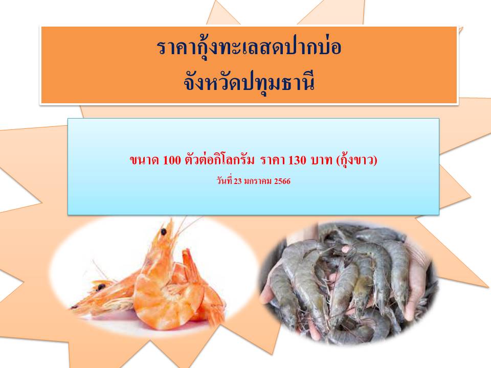 ราคากุ้งสดปากบ่อ จังหวัดปทุมธานี