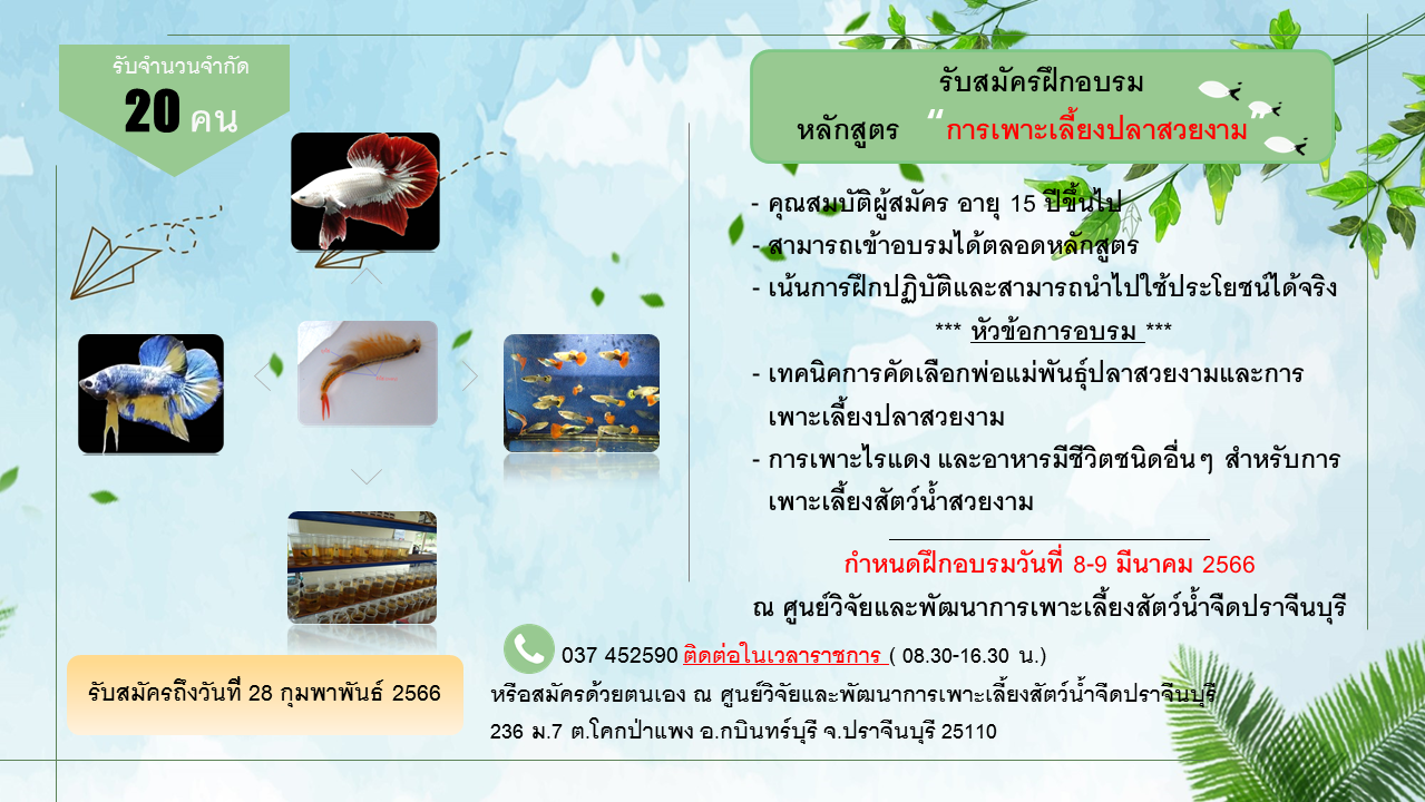 รับสมัครอบรม กิจกรรมส่งเสริมการเพาะเลี้ยงปลาสวยงาม..คลิก