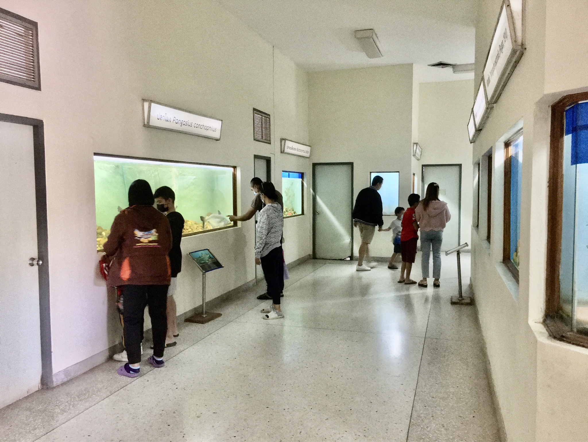 เปิดพิพิธภัณฑ์สถานแสดงสัตว์น้ำ พิพิธภัณฑ์ปลาบึก ให้กับผู้ปกครองและเด็กๆ ในวันเด็กแห่งชาติ  ประจำปี ๒๕๖๖..คลิก